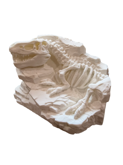 El Rey Excavado: Bloque Fósil de Tyrannosaurus Rex